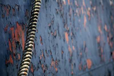 Close-up of dirty rope against weathered wall