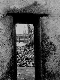 Close-up of window in abandoned building