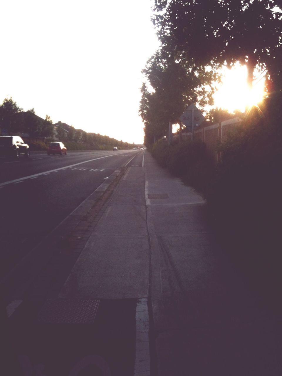 transportation, sun, the way forward, sunlight, tree, mode of transport, car, road, sunbeam, sunset, land vehicle, clear sky, lens flare, diminishing perspective, vanishing point, street, sky, road marking, outdoors, silhouette