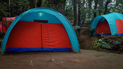 Green forest atmosphere in bogor, camping tent