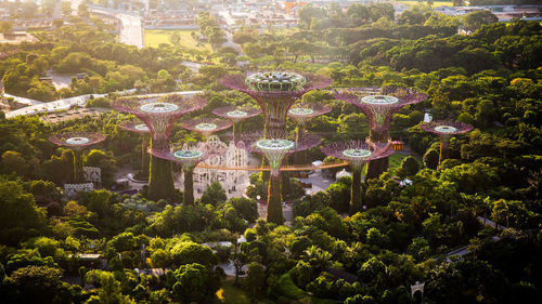 High angle view of trees in garden