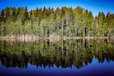 Reflection of trees in lake against clear sky