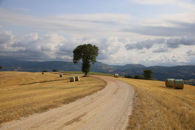 Scenic view of agricultural field against sky