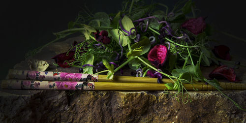 High angle view of vegetables on plant
