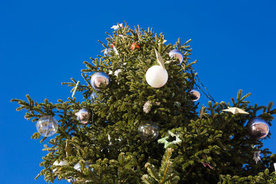 Low angle view of christmas tree against clear blue sky