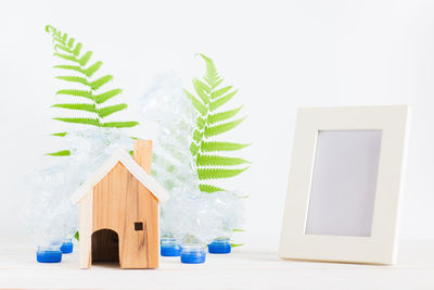 Potted plant on table against white background