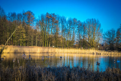 Scenic view of lake against blue sky