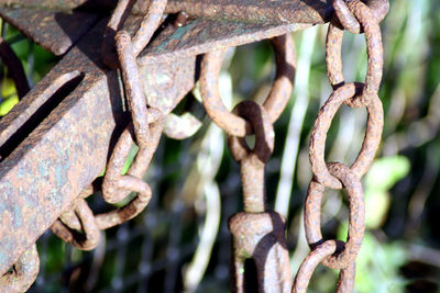 Close-up of rusty metal fence