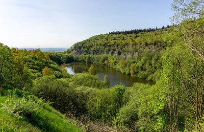 Scenic view of trees by lake against sky