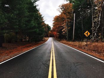 Road passing through trees