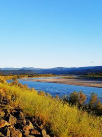 Scenic view of lake against clear blue sky