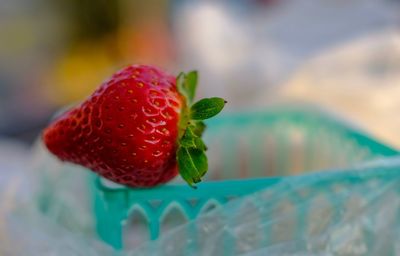 Close-up of strawberry on plastic