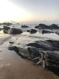 Scenic view of beach against sky