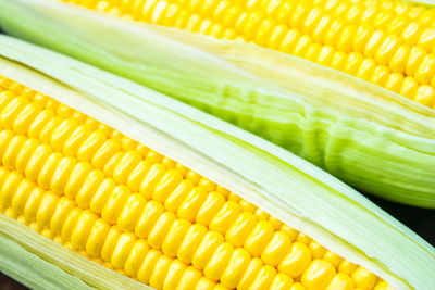 Close-up of corn