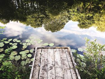 High angle view of trees reflecting on lake