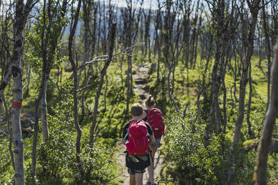 Children walking through forest