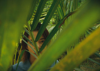 Close-up portrait of woman seen through palm leaves