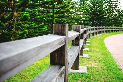 Close-up of wood against trees