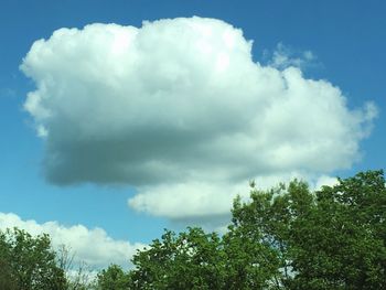 Low angle view of trees against cloudy sky