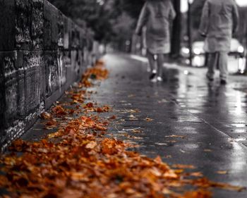 the way forward