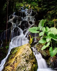 View of waterfall