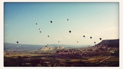 Bird flying over landscape