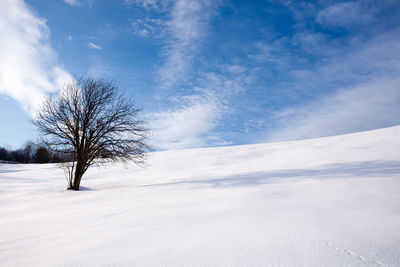 winter