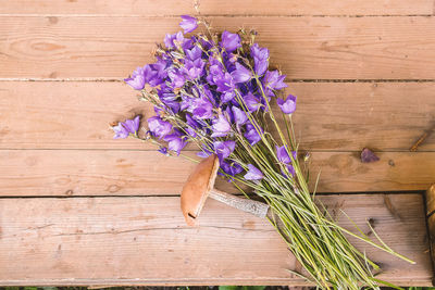 Close-up of purple flowers on wood