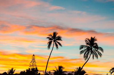 Low angle view of silhouette palm trees against romantic sky