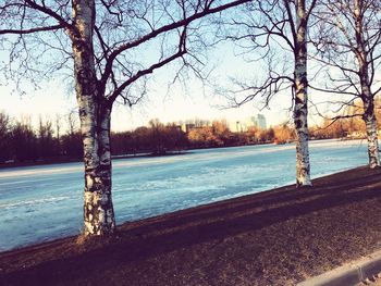 Bare tree by lake against sky during winter