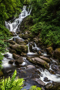 Scenic view of waterfall in forest