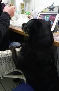 Close-up of man sitting dog