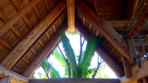 Low angle view of roof and ceiling of building