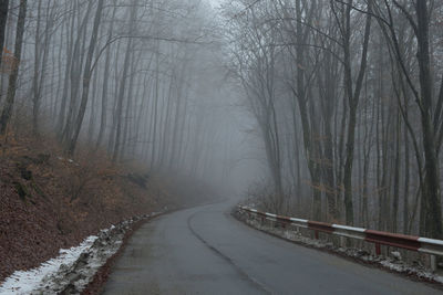 Road amidst trees in forest during winter