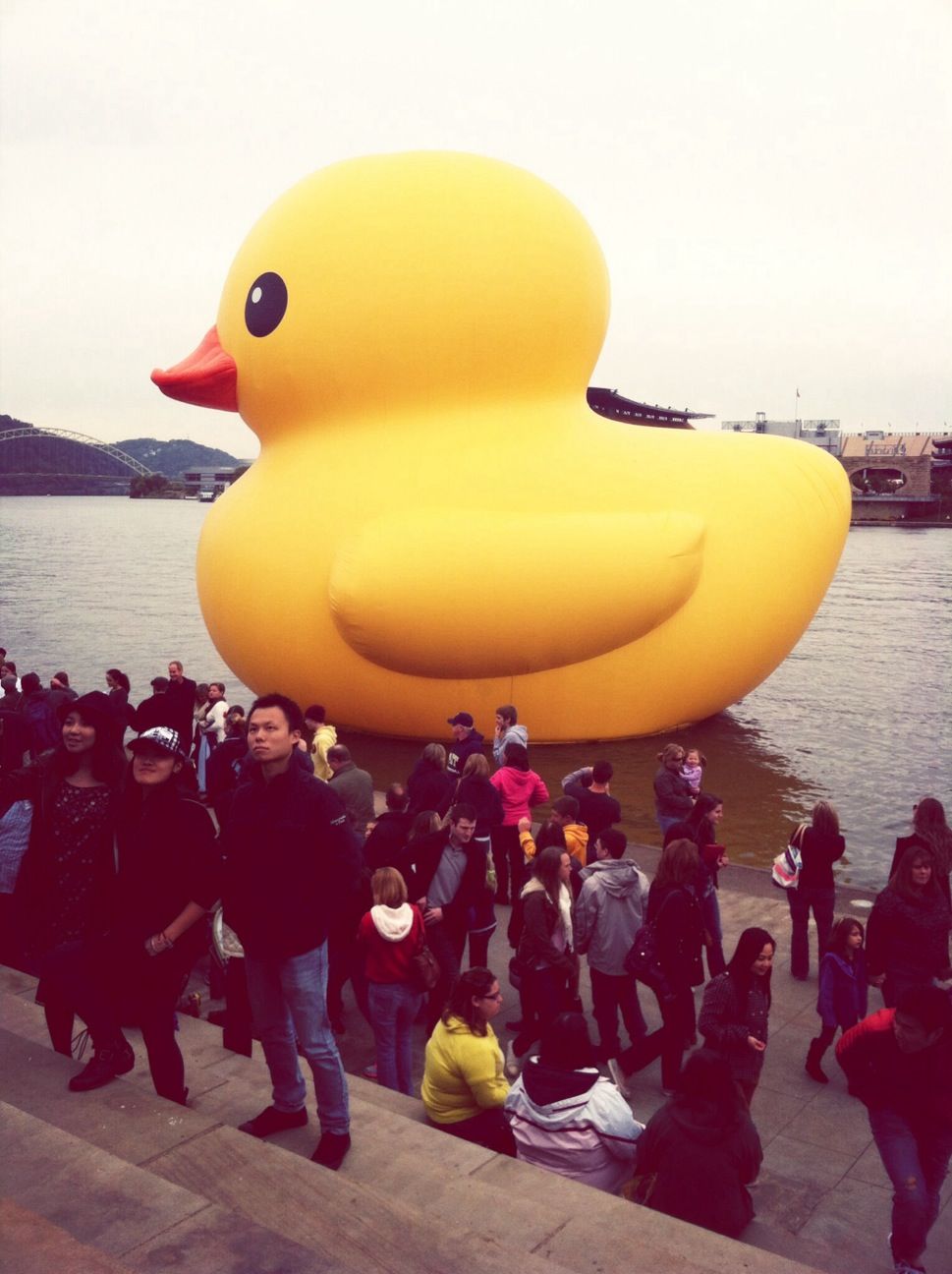 Giant Duck