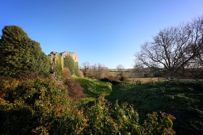 Scenic view of landscape against clear sky