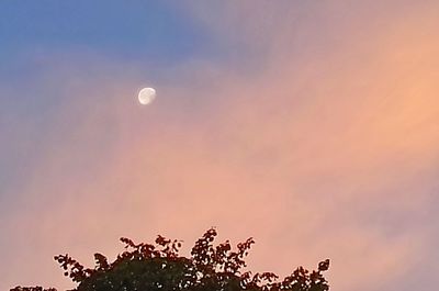 Low angle view of moon in sky