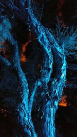 Snow covered landscape