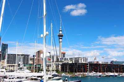 Sailboats moored on harbor by buildings in city against sky