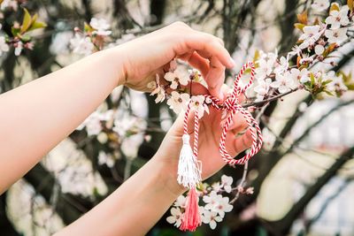 Close-up of hand holding flower