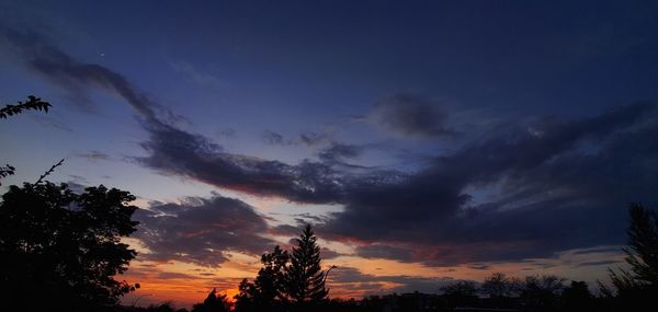 Low angle view of silhouette trees against sky during sunset