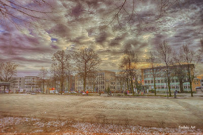 Bare trees against cloudy sky