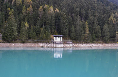 Scenic view of lake by trees in forest