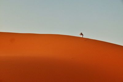 Side view of man walking at desert
