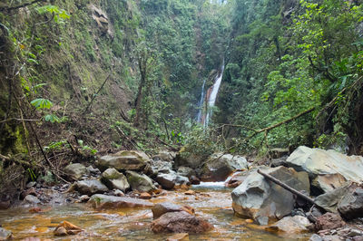 Stream flowing through rocks in forest