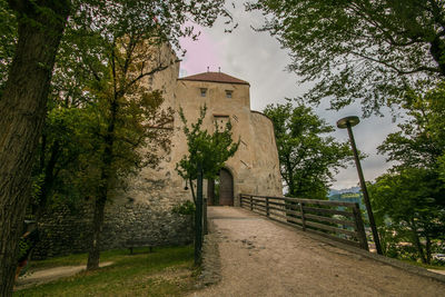 Footpath amidst trees and buildings against sky