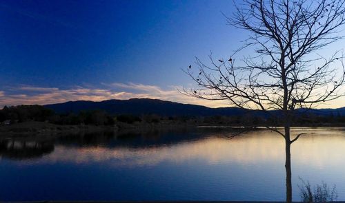 Reflection of trees in calm lake