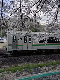 Train on railroad track