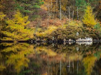 Scenic view of lake by trees