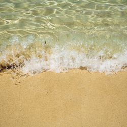 Scenic view of beach